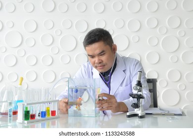 Veterinarian or doctor examine and research about medicine to treatment beautiful fishes in his laboratory - Powered by Shutterstock