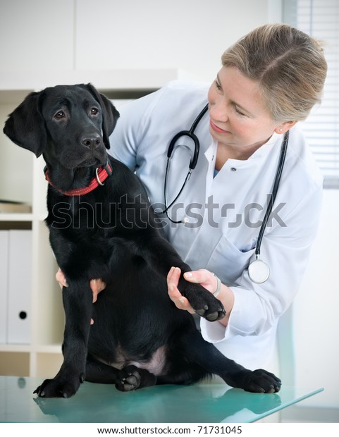 puppy doctor kit