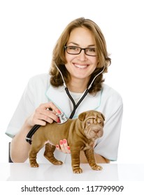 Veterinarian Doctor Making A Checkup Of A Sharpei Puppy Dog. Isolated On White Background