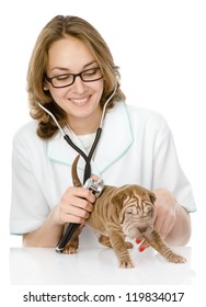 Veterinarian Doctor Making A Checkup Of A Sharpei Puppy Dog. Isolated On White Background