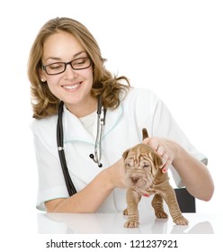 Veterinarian Doctor Making A Checkup Of A Sharpei Puppy Dog. Isolated On White Background