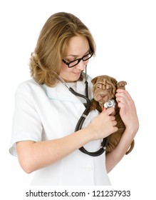 Veterinarian Doctor Making A Checkup Of A Sharpei Puppy Dog. Isolated On White Background