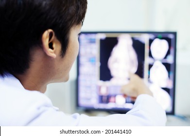 Veterinarian Doctor With MRI Computer Control