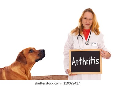 Veterinarian With Dog And Shield - Arthritis / Veterinarian