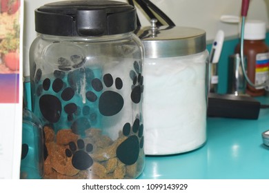 Veterinarian Exam Room With Dog Treats