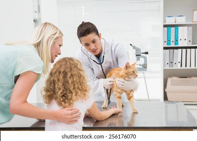 Veterinarian examining a cat with its owners in medical office - Powered by Shutterstock