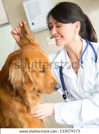 Similar – Image, Stock Photo cute golden retriever dog at home holding a blueberry on his snout. adorable obedient pet. Home, indoors and lifestyle