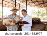 veterinarian and farmer smile while examining a lamb in a barn, discussing livestock health and care.