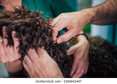Veterinarian giving injection to a dog, close-up. - Shutterstock ID 1560641447