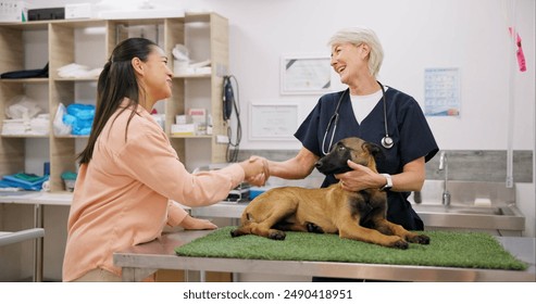 Veterinarian, handshake and woman with dog in clinic, happy and thank you gesture with owner. Pet insurance, animal healthcare and support for medical service, german shepherd and shaking hands - Powered by Shutterstock