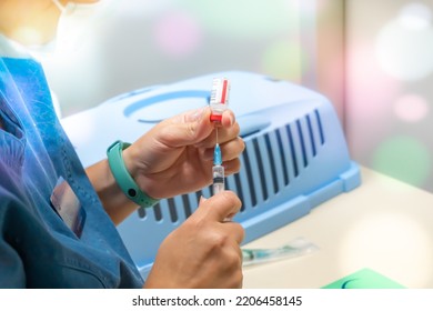 Veterinarian Holding Syringe With Vaccine Near Pet Carrier In Clinic. Treatment And Pet Care. Annual Rabies Vaccination. Close Up