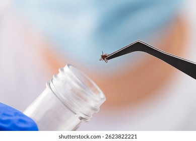 Veterinario sosteniendo una garrapata con pinzas sobre un tubo de ensayo, investigando parásitos y preparando una vacuna para enfermedades como la enfermedad de Lyme y la encefalitis