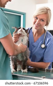 Veterinarian Injecting Cat With The Help Of Female Assistance