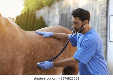 Veterinarian listening to horse with stethoscope outdoors. Pet care - Powered by Shutterstock