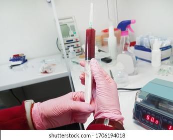 Veterinarian Performing The Procedure Of Blood Transfusion