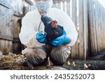 A veterinarian in a protective suit checks the chicken