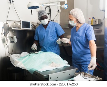 Veterinarian Surgeons In Operating Room At Animal Hospital