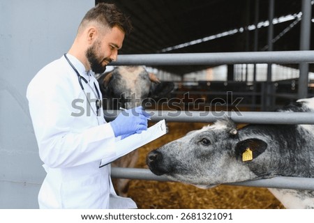 Veterinarian taking notes while examining a cow in a modern farm, ensuring animal health and welfare