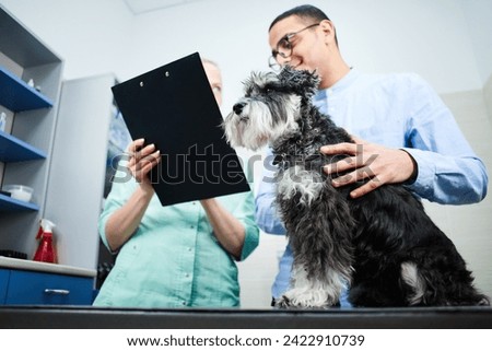 Veterinarian talking to dog's owner, filling a form for a domestic scotch terrier at vet clinic, examining the dog, medical check up, healthcare concept, domestic animals, well behaved dog
