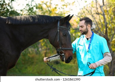 Veterinarian in uniform with beautiful brown horse outdoors - Powered by Shutterstock