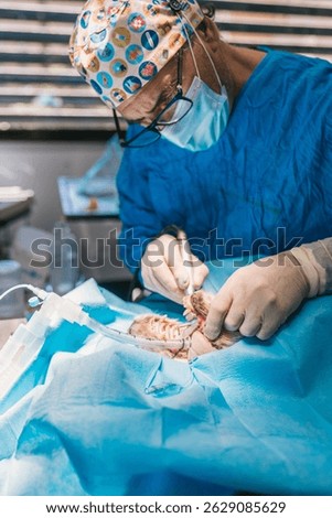Veterinarian using specialized tools performing dental surgery on an anesthetized animal in a modern veterinary hospital