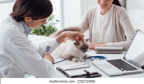 Veterinarian Visiting A Beautiful Cat On Her Office Desk, The Pet Owner Is Smiling