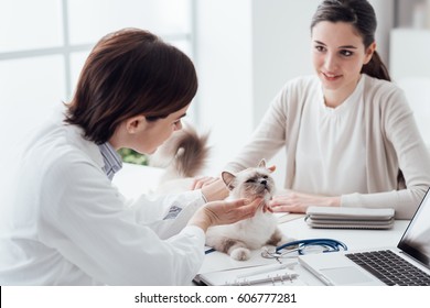 Veterinarian Visiting A Beautiful Cat On Her Office Desk, The Pet Owner Is Smiling