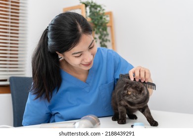 Veterinarian Woman In Blue Uniform Is Using Comb To Brush Fur Of The Cat On A Metal Table After Cleaning Pet In Veterinary Clinic.