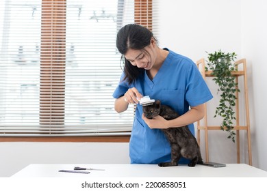 Veterinarian Woman In Blue Uniform Is Using Comb To Brush Fur Of The Cat On A Metal Table After Cleaning Pet In Veterinary Clinic.