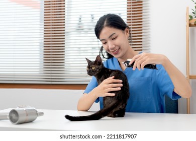 Veterinarian Woman In Blue Uniform Is Using Hair Clippers To Cutting Fur Of The Cat On A Metal Table After Cleaning Pet In Veterinary Clinic.