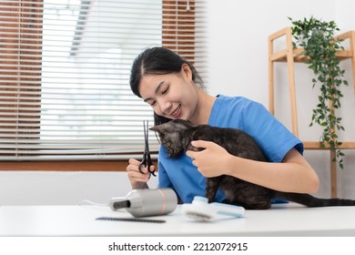 Veterinarian Woman In Blue Uniform Is Using Scissors To Cutting Fur Of The Cat On A Metal Table After Cleaning Pet In Veterinary Clinic.