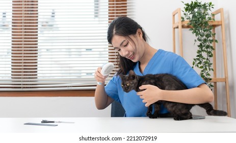 Veterinarian Woman In Blue Uniform Is Using Comb To Brush Fur Of The Cat On A Metal Table After Cleaning Pet In Veterinary Clinic.