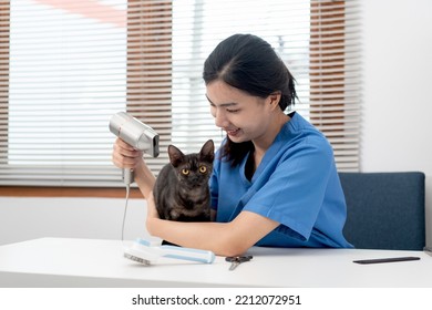 Veterinarian Woman In Blue Uniform Is Using A Hair Dryer For A Lovely Cat On A Metal Table After Cleaning Pet In Veterinary Clinic.