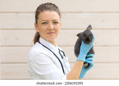 Veterinarian Woman Doctor With Stethoscope Holding Small Rabbit On Hands In Farm. Female Veterinary Examination Of Pet. Checkup Domestic Animal. Vet Medicine Concept. Health Care Pet