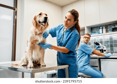 Veterinarians doctors conduct a routine examination of a dog listening to the heart with a stethoscope on a table in a modern office of a veterinary clinic. Treatment and vaccination of pets. - Powered by Shutterstock