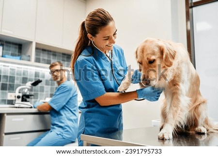 Veterinarians doctors conduct a routine examination of a dog listening to the heart with a stethoscope on a table in a modern office of a veterinary clinic. Treatment and vaccination of pets.
