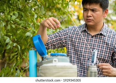 Veterinarians Are Preparing Equipment For Insemination Of Cattle Or Tools For Artificial Insemination Of Cow.