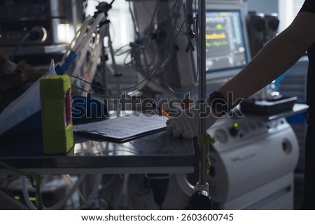 A veterinary anesthetist in gloves makes notes on a sheet during a surgical procedure in a veterinary hospital. The anesthesiologist is focused on the patient's monitors during the operation.