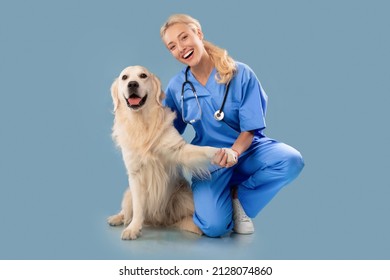 Veterinary Clinic Advertisement Concept. Happy Female Nurse In Scrubs Uniform And Stethoscope Posing With Dog, Holding Labrador's Paw Sitting On Floor Looking At Camera Isolated Blue Studio Background - Powered by Shutterstock