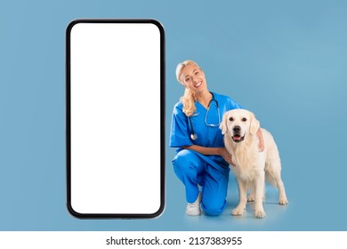 Veterinary Clinic Advertisement Concept. Happy Female Nurse In Scrubs Uniform And Stethoscope Posing With Dog Near Giant White Cell Screen Sitting On Floor Looking At Camera Isolated Blue Background