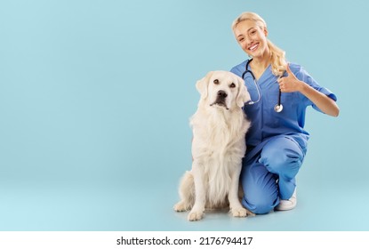 Veterinary clinic advertisement. Positive female nurse in uniform posing with labrador dog and showing thumb up, sitting on floor isolated on blue studio background, copy space - Powered by Shutterstock