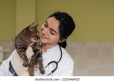 Veterinary Clinic. Female Doctor Portrait At The Animal Hospital Holding Cute Sick Cat 