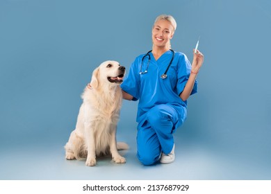 Veterinary Clinic Service Concept. Happy Female Nurse In Scrubs Uniform And Stethoscope Posing With Dog, Holding Syringe Embracing Labrador Sitting On Floor Looking At Camera Isolated Blue Background - Powered by Shutterstock