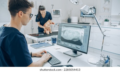 Veterinary Clinic Specialist Working on a Desktop Computer, Using a Software to Examines a Dog's X-Ray Scans for a Potential Bone Fracture. Female Veterinarian Walking in the Background - Powered by Shutterstock