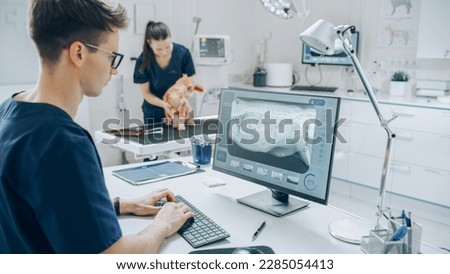 Veterinary Clinic Specialist Working on a Desktop Computer, Using a Software to Examines a Dog's X-Ray Scans for a Potential Bone Fracture. Female Veterinarian Walking in the Background