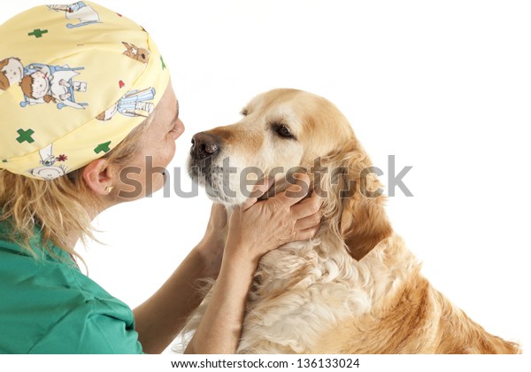 Veterinary Consultation Follow Dog Stock Photo (Edit Now ...