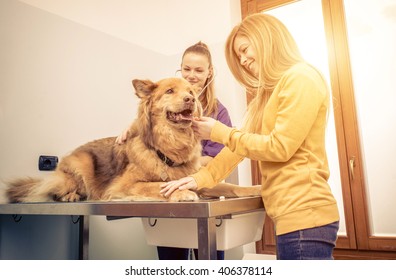 Veterinary doctor checking dog heart with medical tool. Owner comforting the animal