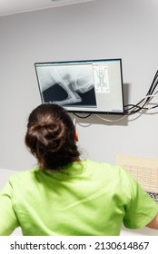 Veterinary Doctor Looks At A Screen To Analyze The Results Of An X-ray Performed On A Dog. Health And Pet Care.