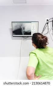 Veterinary Doctor Looks At A Screen To Analyze The Results Of An X-ray Performed On A Dog. Health And Pet Care.