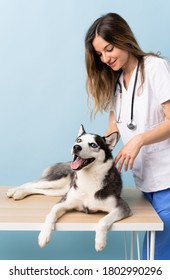 Veterinary Doctor At Vet Clinic With Siberian Husky Dog